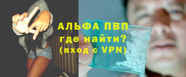 ALPHA PVP Инта