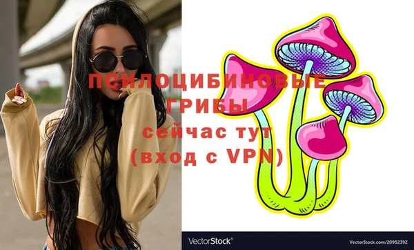 кокаин Инсар