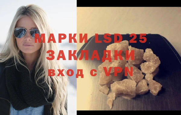дмт Каменка