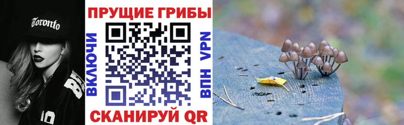 Купить где  Вяземский  Галлюциногенные грибы мухоморы 